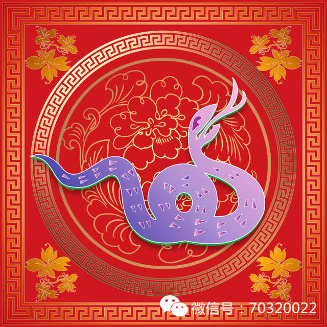 龙马精神发大家小巧玲珑蛇有机打一生肖，综合解答解释落实_lok19.32.30